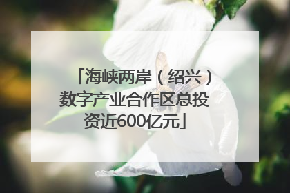 海峡两岸（绍兴）数字产业合作区总投资近600亿元
