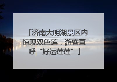 济南大明湖景区内惊现双色莲，游客直呼“好运莲莲”
