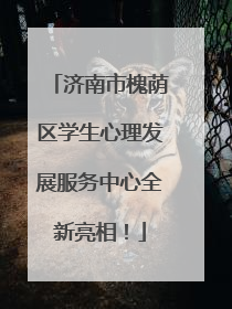 济南市槐荫区学生心理发展服务中心全新亮相！