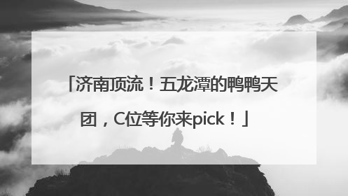 济南顶流！五龙潭的鸭鸭天团，C位等你来pick！