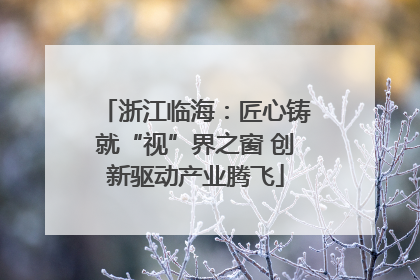 浙江临海：匠心铸就“视”界之窗 创新驱动产业腾飞