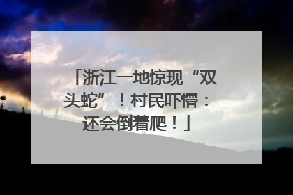 浙江一地惊现“双头蛇”！村民吓懵：还会倒着爬！