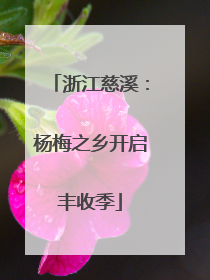 浙江慈溪：杨梅之乡开启丰收季