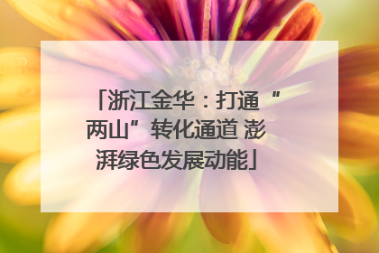 浙江金华：打通“两山”转化通道 澎湃绿色发展动能