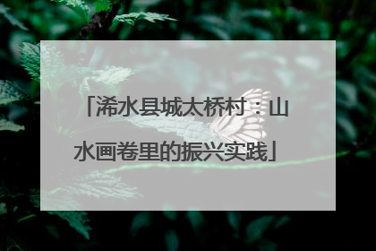 浠水县城太桥村：山水画卷里的振兴实践
