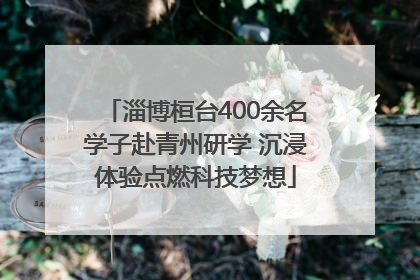 淄博桓台400余名学子赴青州研学 沉浸体验点燃科技梦想