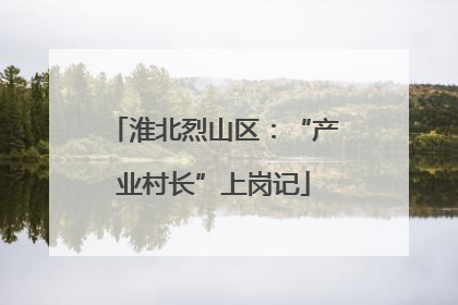 淮北烈山区：“产业村长”上岗记