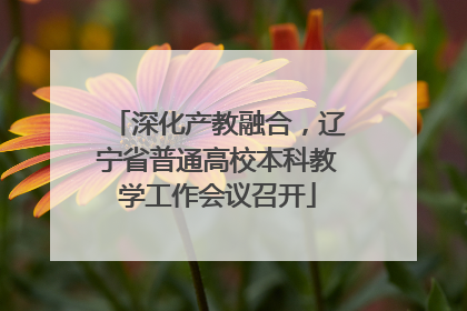 深化产教融合，辽宁省普通高校本科教学工作会议召开