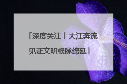 深度关注丨大江奔流见证文明根脉绵延