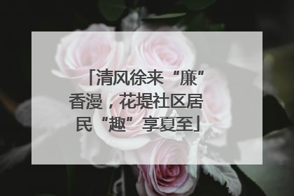 清风徐来“廉”香漫，花堤社区居民“趣”享夏至