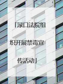 渌口法院组织开展禁毒宣传活动