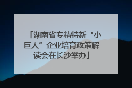 湖南省专精特新“小巨人”企业培育政策解读会在长沙举办