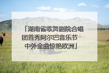 湖南省歌舞剧院合唱团首秀阿尔巴音乐节 中外金曲惊艳欧洲