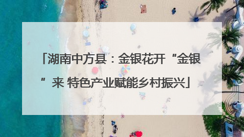 湖南中方县：金银花开“金银”来 特色产业赋能乡村振兴