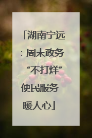 湖南宁远：周末政务“不打烊” 便民服务暖人心