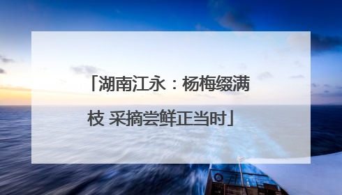 湖南江永：杨梅缀满枝 采摘尝鲜正当时