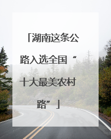 湖南这条公路入选全国“十大最美农村路”