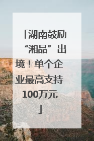 湖南鼓励“湘品”出境！单个企业最高支持100万元