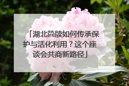 湖北简牍如何传承保护与活化利用？这个座谈会共商新路径