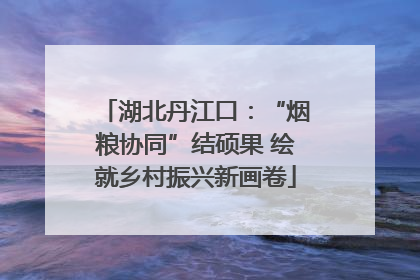 湖北丹江口：“烟粮协同”结硕果 绘就乡村振兴新画卷