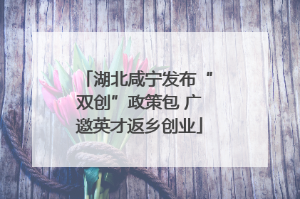 湖北咸宁发布“双创”政策包 广邀英才返乡创业