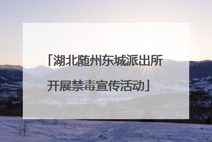 湖北随州东城派出所开展禁毒宣传活动