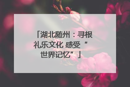 湖北随州：寻根礼乐文化 感受“世界记忆”