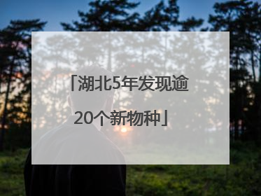 湖北5年发现逾20个新物种