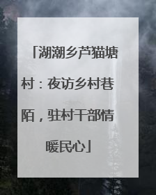湖潮乡芦猫塘村：夜访乡村巷陌，驻村干部情暖民心