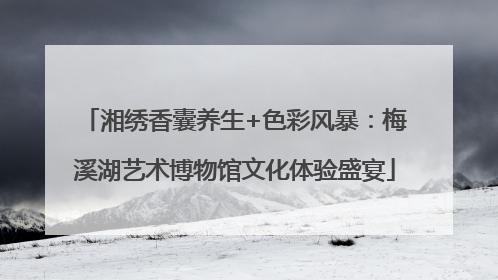 湘绣香囊养生+色彩风暴：梅溪湖艺术博物馆文化体验盛宴