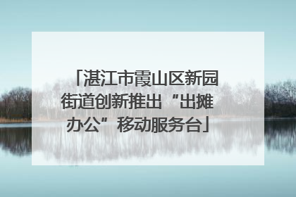 湛江市霞山区新园街道创新推出“出摊办公”移动服务台