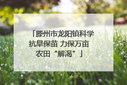 滕州市龙阳镇科学抗旱保苗 力保万亩农田“解渴”