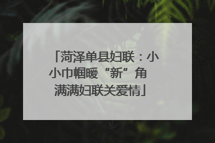 菏泽单县妇联：小小巾帼暖“新”角 满满妇联关爱情