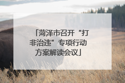 菏泽市召开“打非治违”专项行动方案解读会议