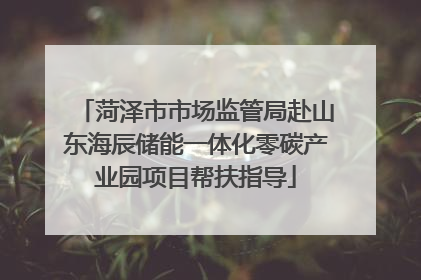 菏泽市市场监管局赴山东海辰储能一体化零碳产业园项目帮扶指导