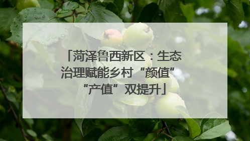 菏泽鲁西新区：生态治理赋能乡村“颜值”“产值”双提升
