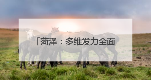 菏泽：多维发力全面护航“三夏”生产 确保夏粮颗粒归仓