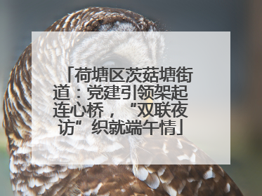 荷塘区茨菇塘街道：党建引领架起连心桥，“双联夜访”织就端午情