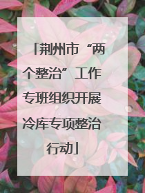 荆州市“两个整治”工作专班组织开展冷库专项整治行动