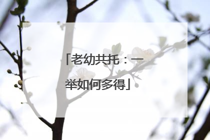老幼共托：一举如何多得