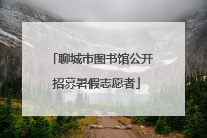 聊城市图书馆公开招募暑假志愿者
