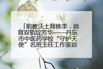 职教沃土育桃李，德育双轨绽芳华——丹东市中医药学校“守护天使”名班主任工作室德育实践之路