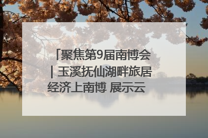 聚焦第9届南博会｜玉溪抚仙湖畔旅居经济上南博 展示云南生活新样本