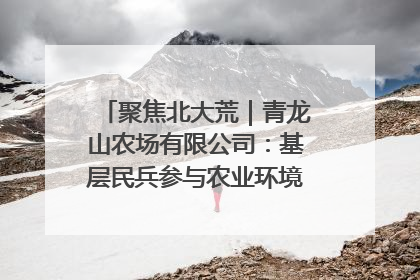 聚焦北大荒｜青龙山农场有限公司：基层民兵参与农业环境综合治理显效