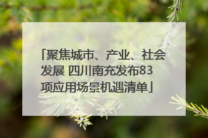 聚焦城市、产业、社会发展 四川南充发布83项应用场景机遇清单