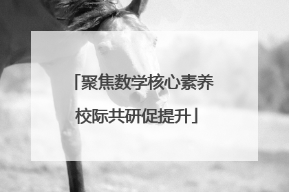 聚焦数学核心素养 校际共研促提升
