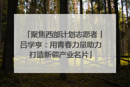 聚焦西部计划志愿者丨吕学亨：用青春力量助力打造新疆产业名片