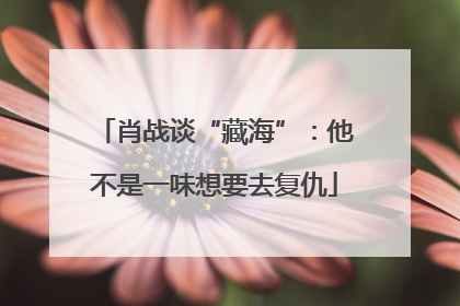 肖战谈“藏海”：他不是一味想要去复仇