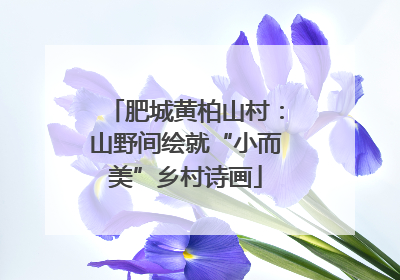 肥城黄柏山村：山野间绘就“小而美”乡村诗画