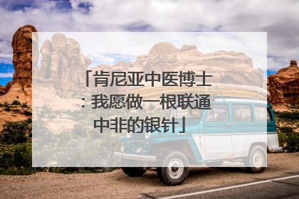 肯尼亚中医博士：我愿做一根联通中非的银针